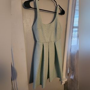 Zara mint green leopard dress
